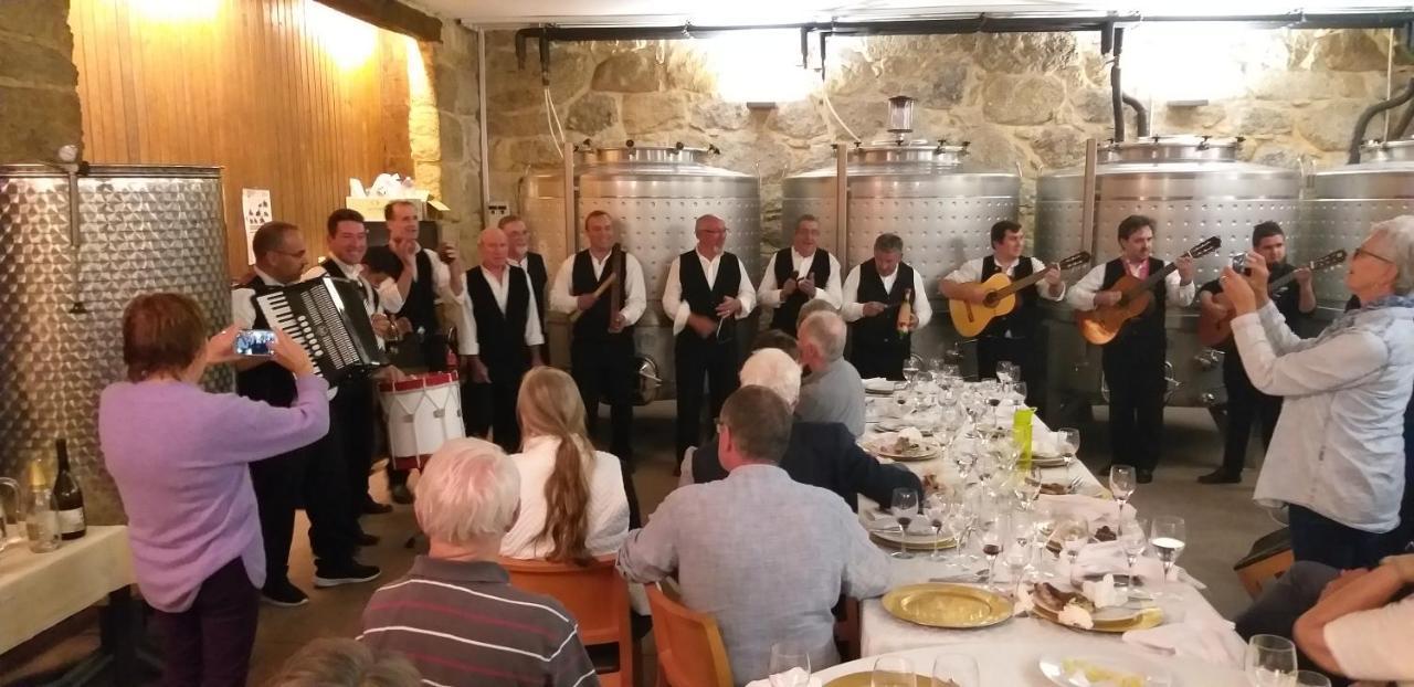 Quinta Do Medronheiro Hotel Rural Viseu Zewnętrze zdjęcie