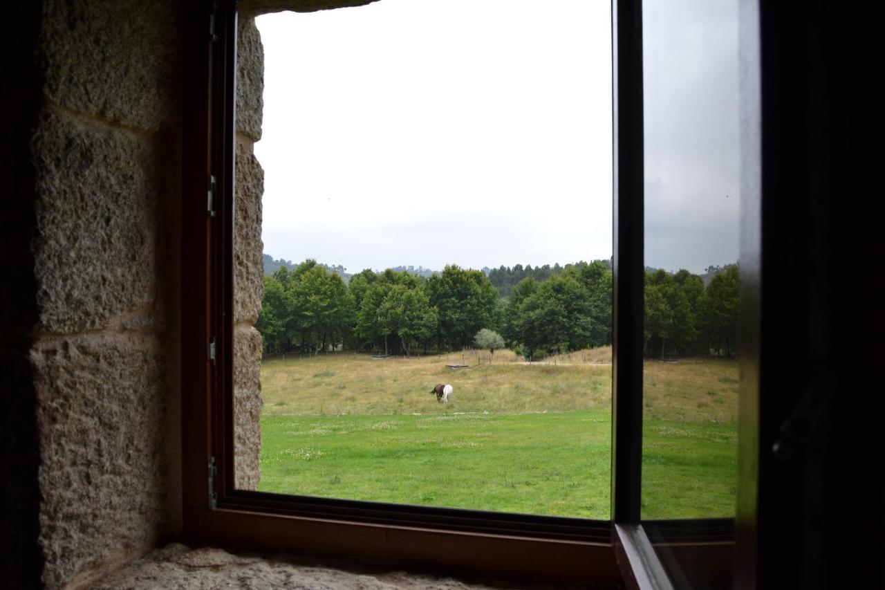 Quinta Do Medronheiro Hotel Rural Viseu Zewnętrze zdjęcie