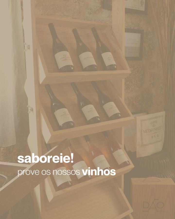 Quinta Do Medronheiro Hotel Rural Viseu Zewnętrze zdjęcie